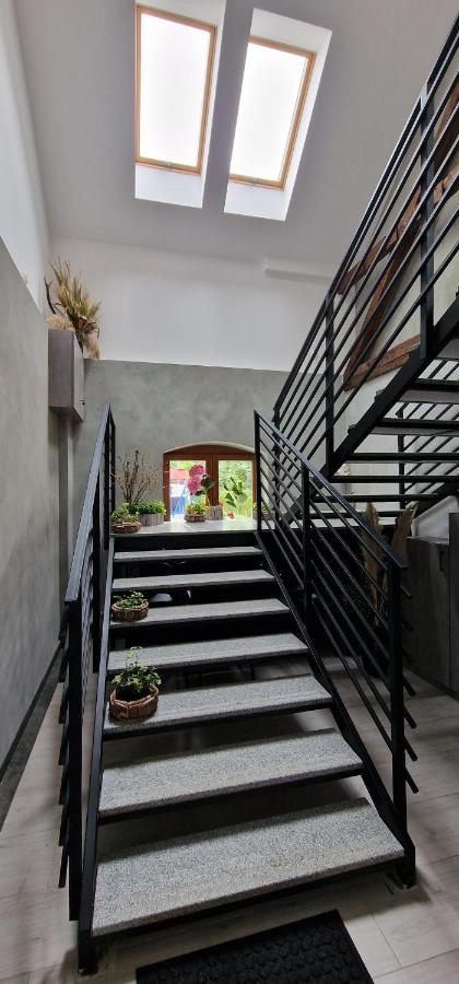 Zielona Ostoja Ulica Szpitalna 3C Apartment Kamieniec Zabkowicki Luaran gambar